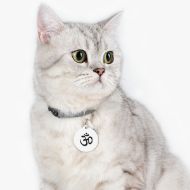 Picture of Om Symbol Pet Tag, Personalized Pet ID Tag, Dog Tag for Pet Lovers, Unique Pet Accessory, Gift for Pet Owners